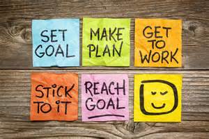 setting goals for a successful TMS implementation