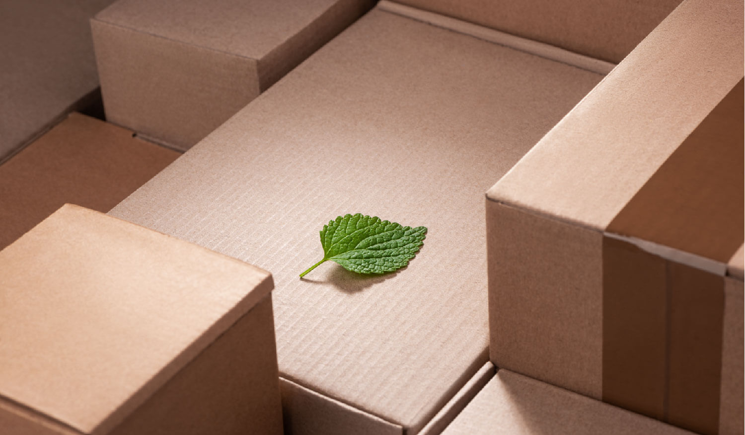 Why Should Shippers Care About Sustainability?